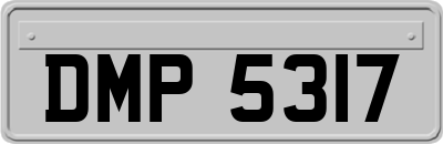 DMP5317