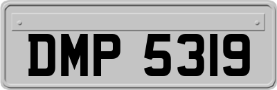 DMP5319