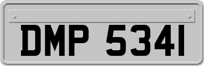 DMP5341