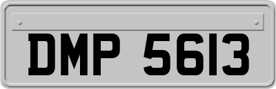 DMP5613