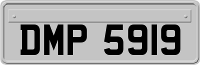 DMP5919