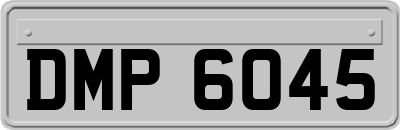 DMP6045