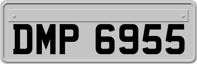 DMP6955
