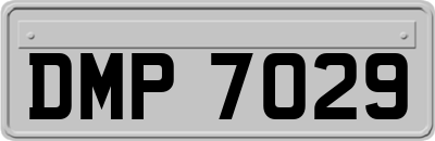 DMP7029