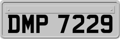 DMP7229