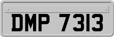 DMP7313