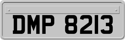 DMP8213