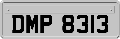DMP8313