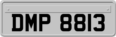 DMP8813
