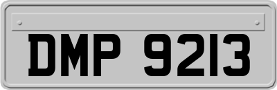 DMP9213