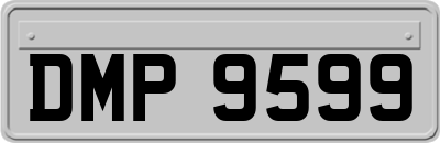 DMP9599