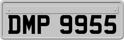 DMP9955