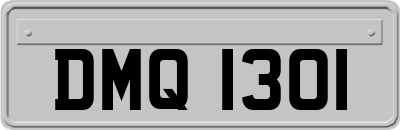 DMQ1301