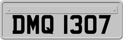 DMQ1307