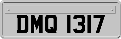 DMQ1317