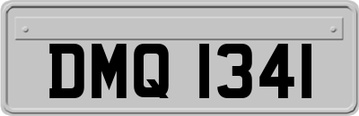 DMQ1341