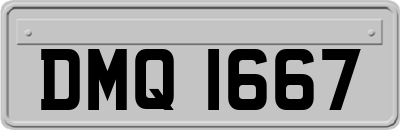 DMQ1667