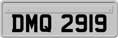DMQ2919