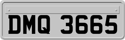 DMQ3665