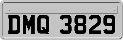 DMQ3829