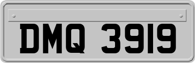 DMQ3919