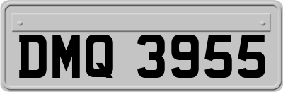 DMQ3955