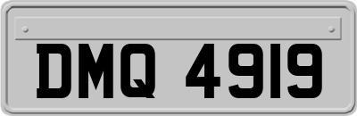 DMQ4919