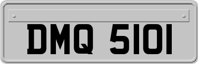 DMQ5101
