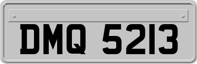 DMQ5213