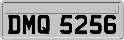 DMQ5256