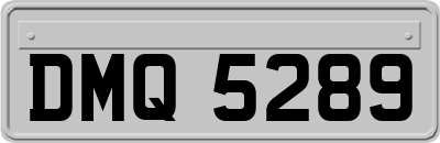 DMQ5289