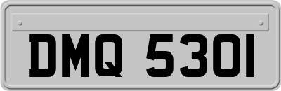 DMQ5301