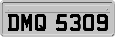 DMQ5309
