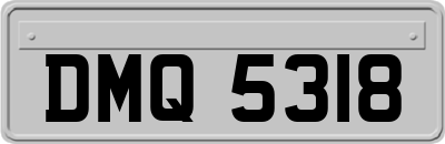 DMQ5318