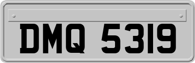 DMQ5319