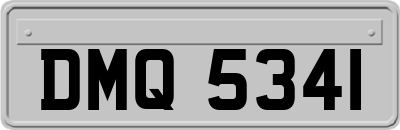 DMQ5341