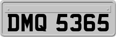 DMQ5365
