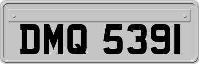DMQ5391
