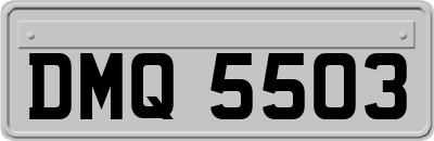 DMQ5503