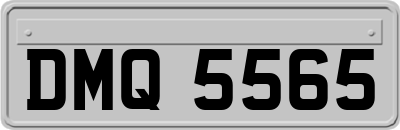 DMQ5565