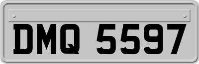 DMQ5597