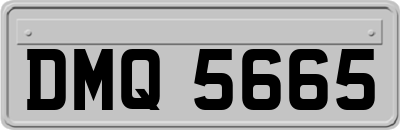 DMQ5665