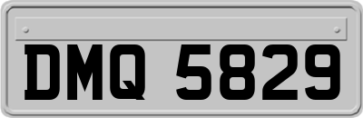 DMQ5829