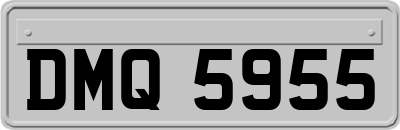 DMQ5955
