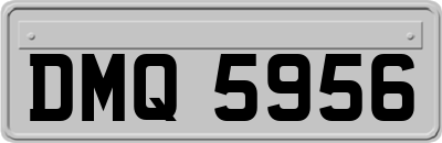 DMQ5956