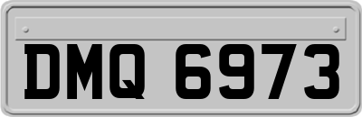 DMQ6973