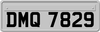 DMQ7829