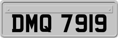 DMQ7919