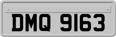 DMQ9163