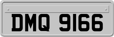 DMQ9166